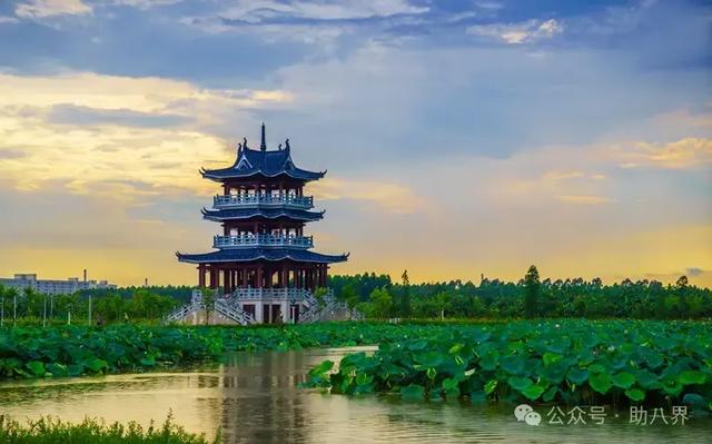广东东莞十大打卡地（精简版）