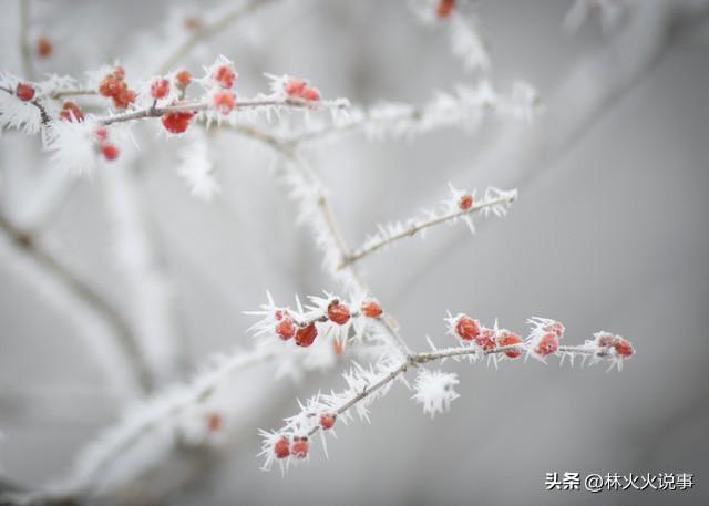 2026年春节在几九？过年到底冷不冷？早看心里有数	，看老话咋说？