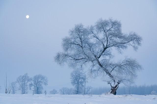 老人说今年是“早霜降，大雪封门”，啥意思？有啥预兆呢？