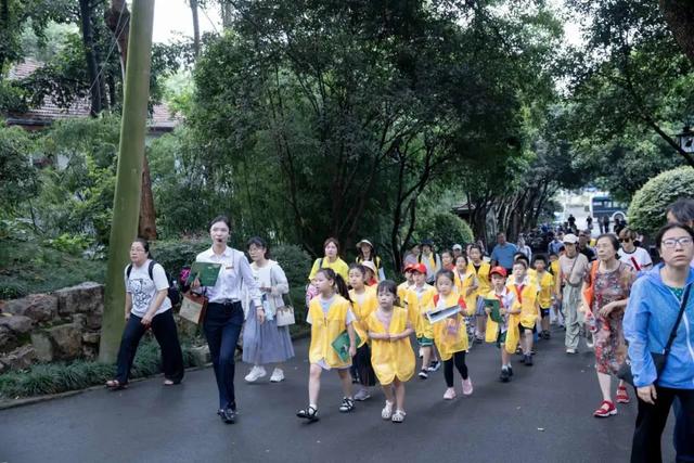 招募！黄鹤少年请就位