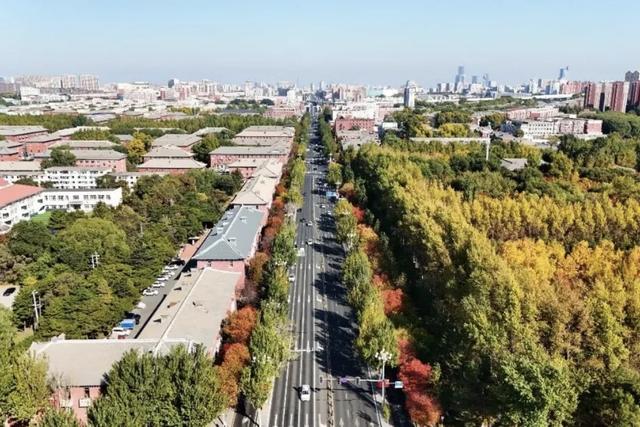 秋之彩色吉林｜工业区不懂浪漫？长春汽开区的秋天，美到犯规！