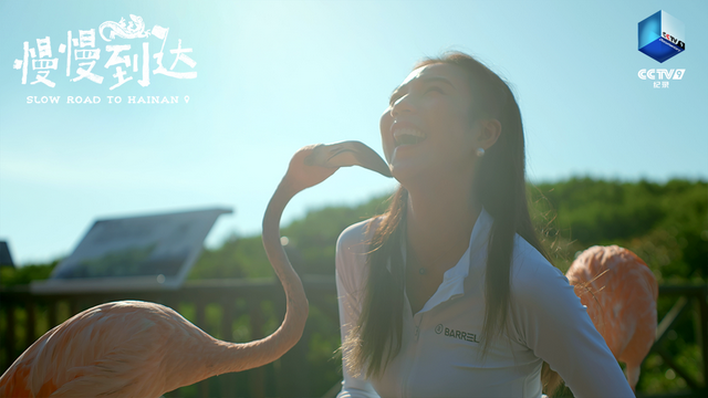 988公里环游海南岛！CCTV-9新片太美了