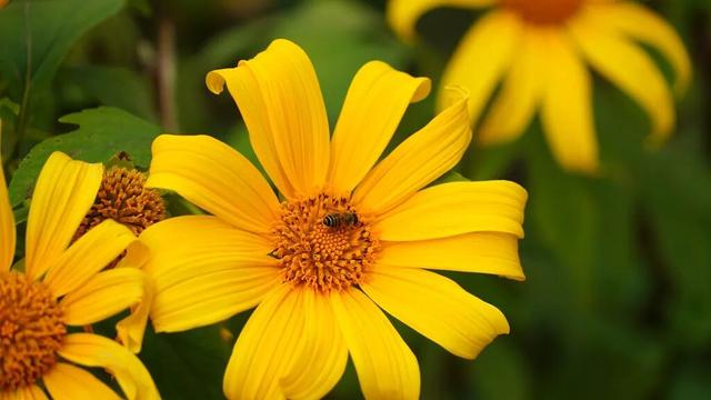 累了！就到这条路上走走，它也许是你逃离喧嚣的“心灵驿站”