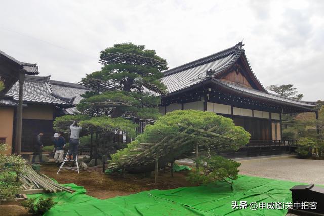 日本京都：走进鹿苑寺（金阁寺）