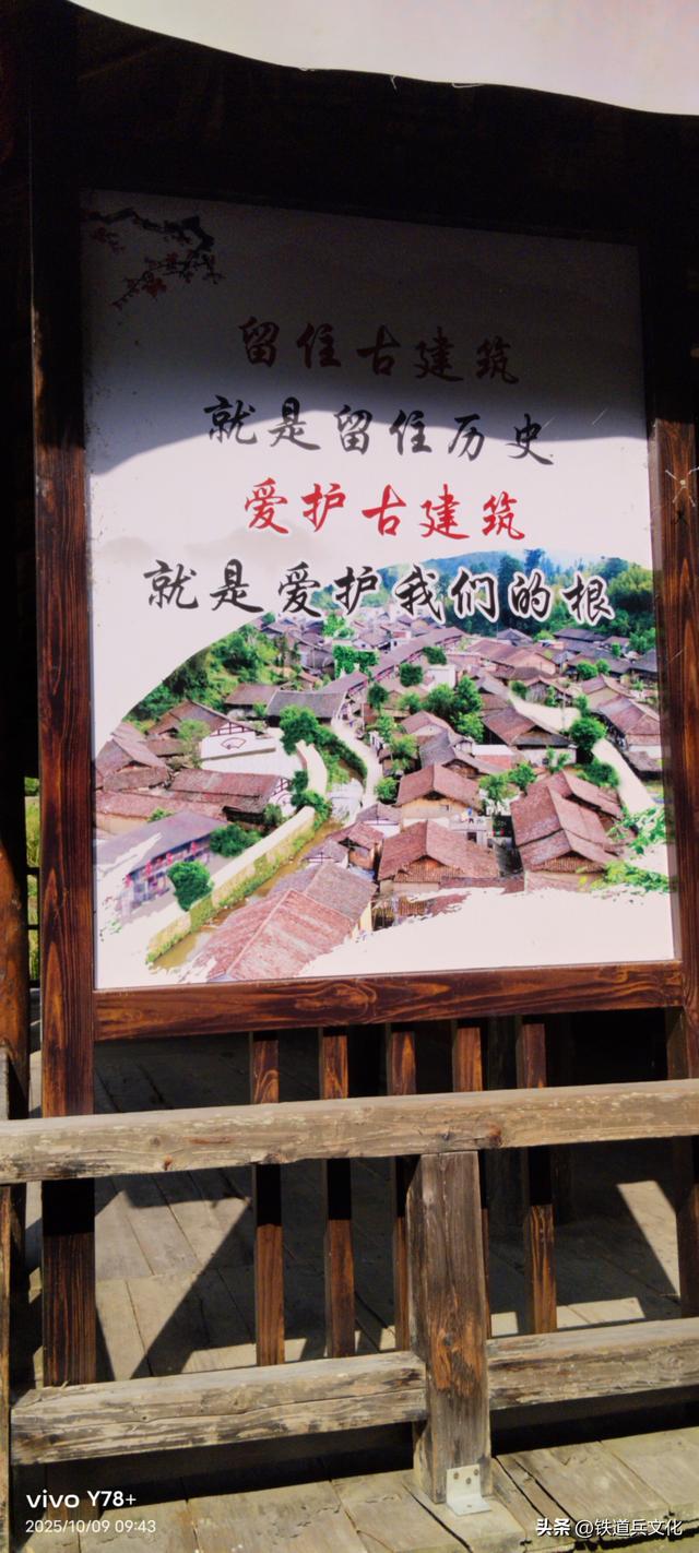 山路弯弯 作者：陈阿玲