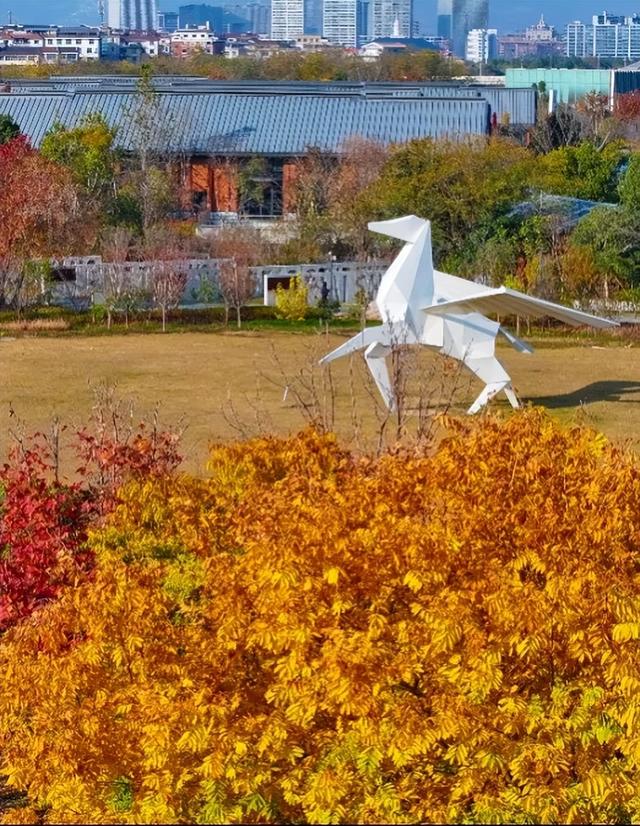 冬日金东：斑斓未尽 山水半酣