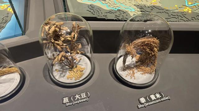 国庆长假总结：郑州比西安差几条街？！