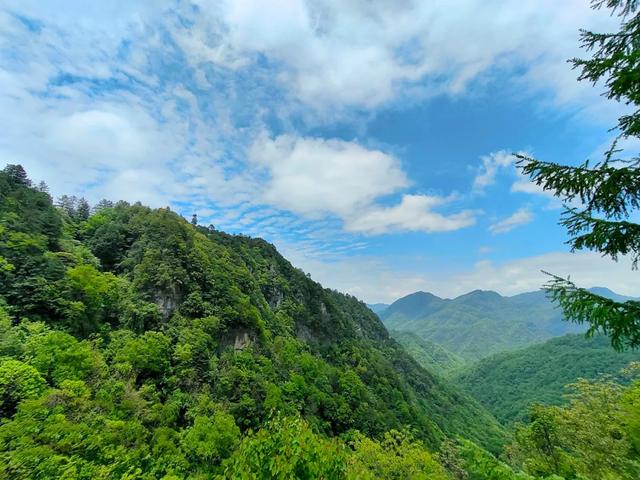 世界自然遗产、物种基因库、北纬31°绿色奇迹——神农架旅游攻略