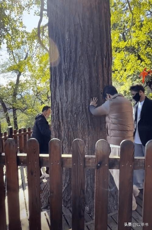 辛柏青没想到，离春节不到俩月	，朱媛媛拼命留的"遗产"，给他长脸