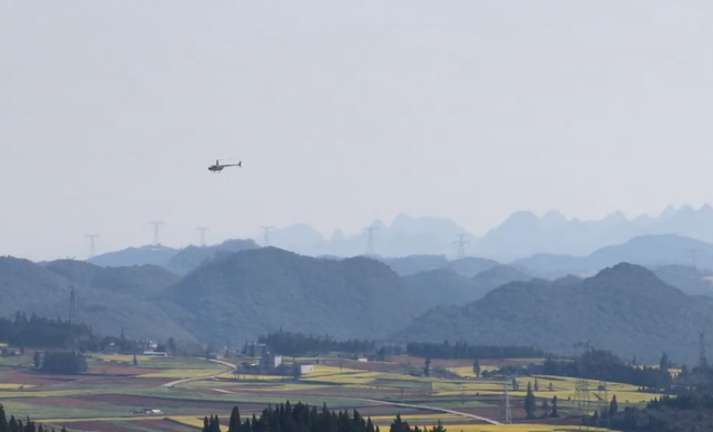 罗平百万亩油菜花绽放 踏青赏花正当时