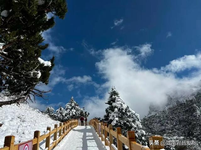 陇原赏秋韵，冬游官鹅沟