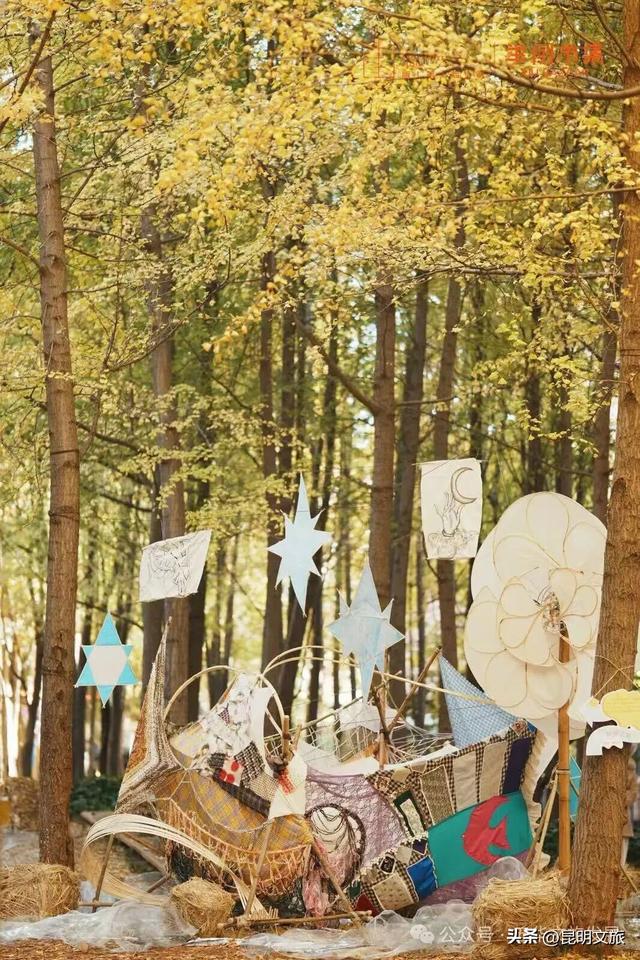 美爆！美爆！超全攻略！超出片！🤳昆明银杏黄金倒计时，抓紧时间冲~