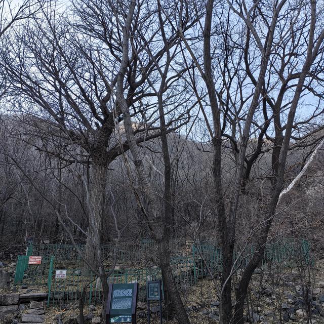 大觉寺凤凰岭北线徒步