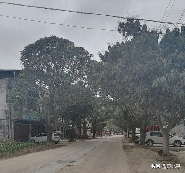 广西南宁市上林县始建于明朝洪武年间老圩，与别县同名改为明亮