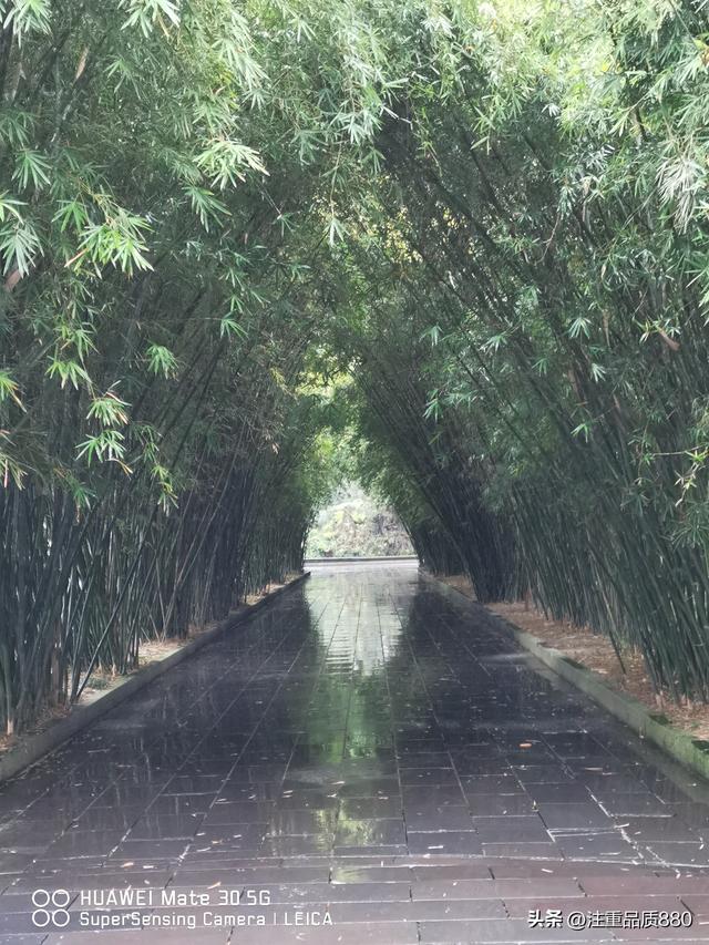 我的2025~实现了由自驾游为“自驾旅居”游的转变