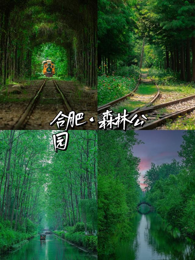 安徽·合肥｜五大必去景点