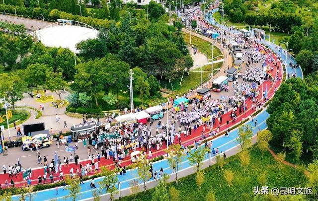 纯攻略！昆明5天3晚亲子游等你来：有动物有鲜花还有“海洋”……