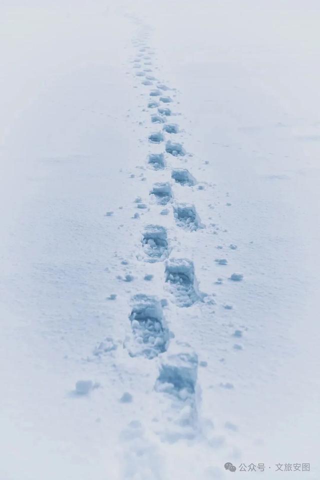 走，去长白山峡谷浮石林，踩最野的雪！看最奇的景！