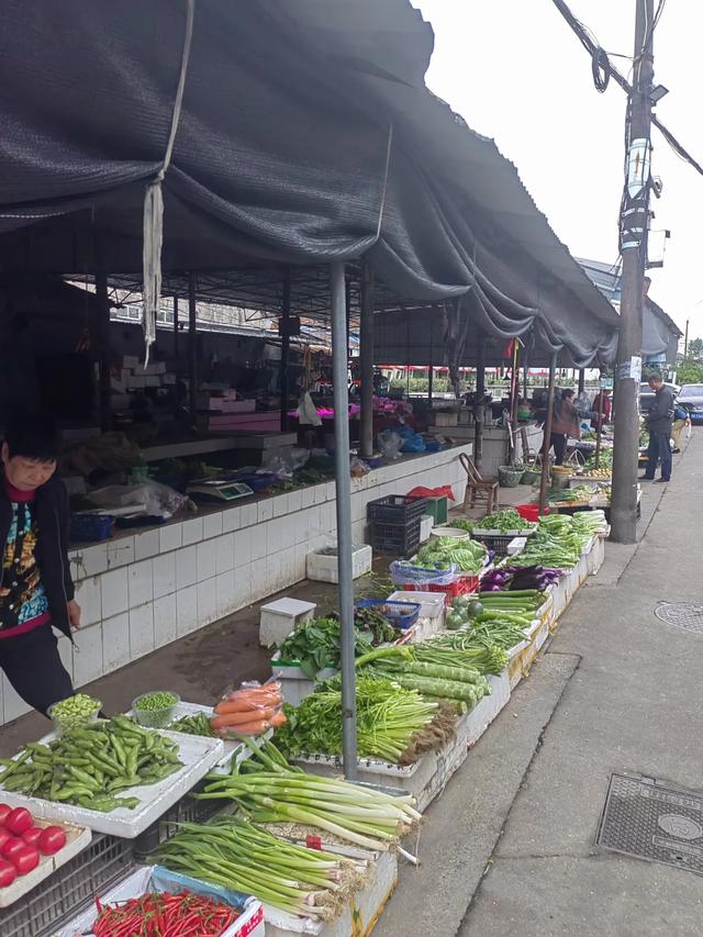 游宁波庄桥街道马径村