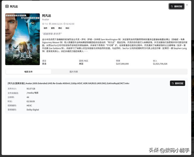 NAS播放器的新星，一站式全平台媒体库管理工具『Cinemore』体验