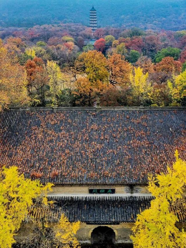 高铁1h！比西安秀美！这座千年古都秋色绝了！高光仅20天！
