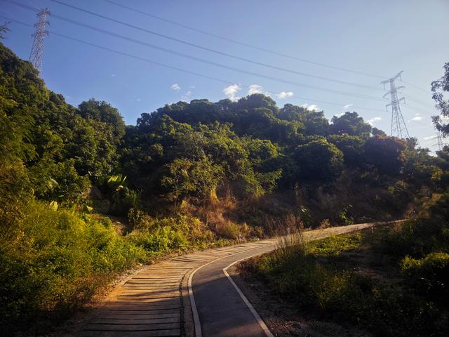 从丽康路穿荔园溪谷至西丽湖绿道骑行随拍