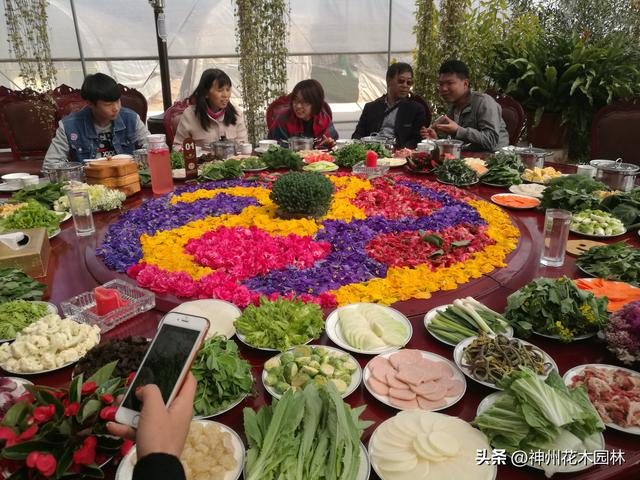 云南首个林下花园：自然与人文交织的生态花园景观杰作