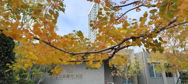 寻美薛城丨这里风景独好！美景尽收眼底，凭“颜值”出圈的社区美景！