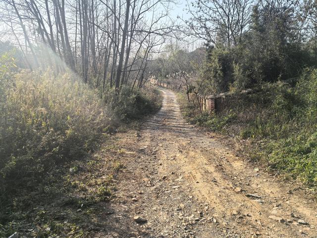 南京第二次到镇江武岐山空青山郊野徒步