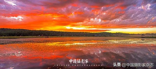 林树国｜塞罕坝林海之歌