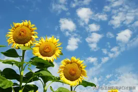 原来克服当众讲话紧张，只需这几步，效果惊人！图片