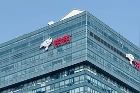 着急的京东：赚了446亿，没有新故事图片