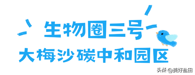盐田，你也太会了！一天带娃穿越海洋、魔法和未来！