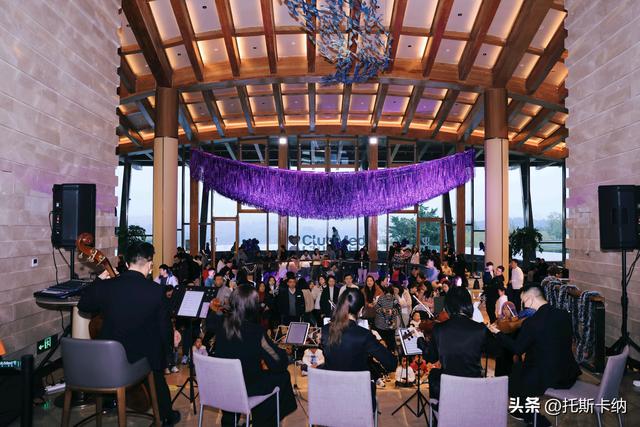 幻紫圣诞 · 奇境飞驰