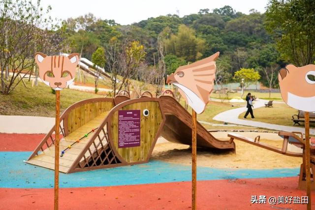 二刷、三刷……遛娃党解锁恩上湿地新玩法！