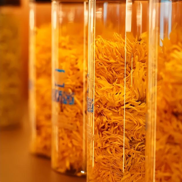 秋冬遛娃“药”新鲜！能吃能玩还能“养”，这条游玩路线一站式拿捏