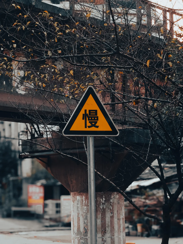 去了四川小香港，走高圆圆的路，被这座老城甜到了