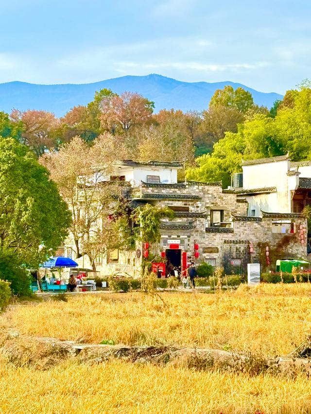 追着晚秋(黟县宏村镇塔川村)