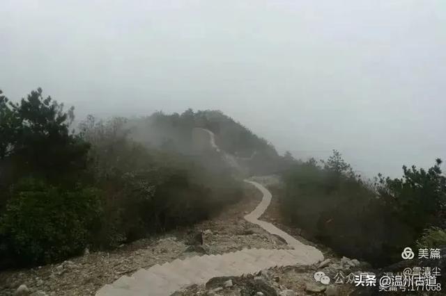 远上乌岩岭上斜,白云生处白云尖!温州这处秋日美景值得一去!