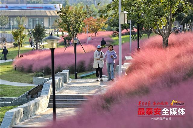 邂逅粉色花海，秋日限定浪漫“上新”