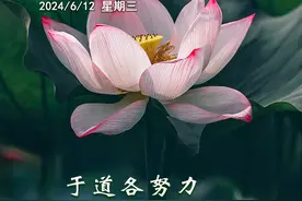 每日一吉 | 6月12日 于道各努力 千里自同风图片