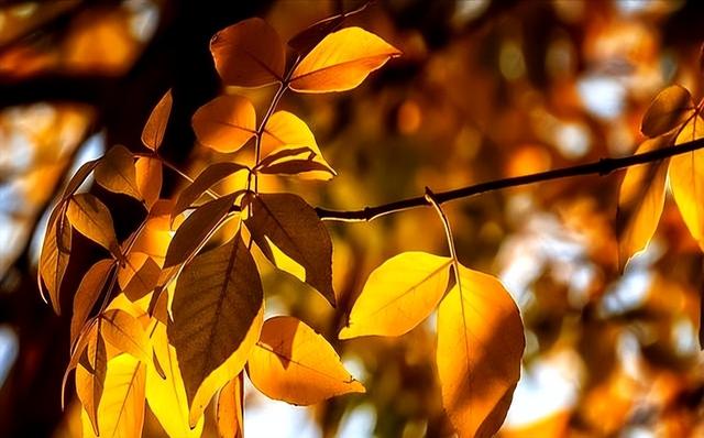 “上午立秋把扇丢，下午立秋热死牛”，今年立秋几点？有啥讲究？