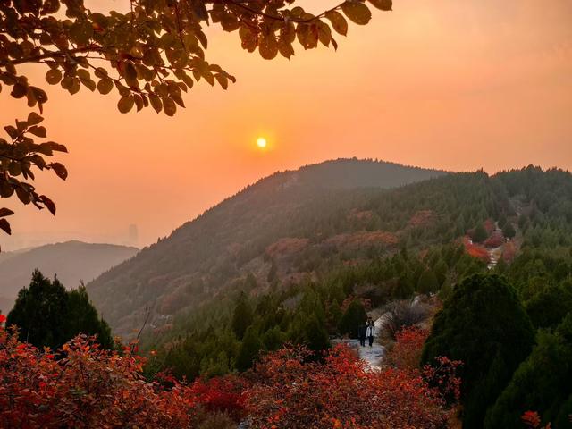 醉染蚰蜒山