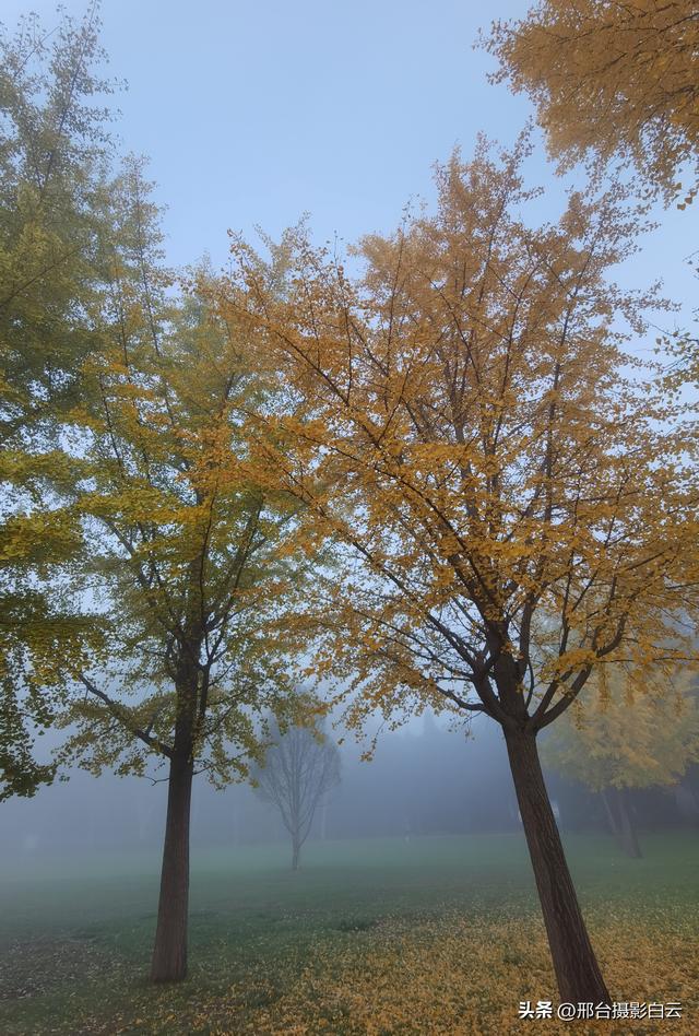 达活泉公园：情与雾的交织