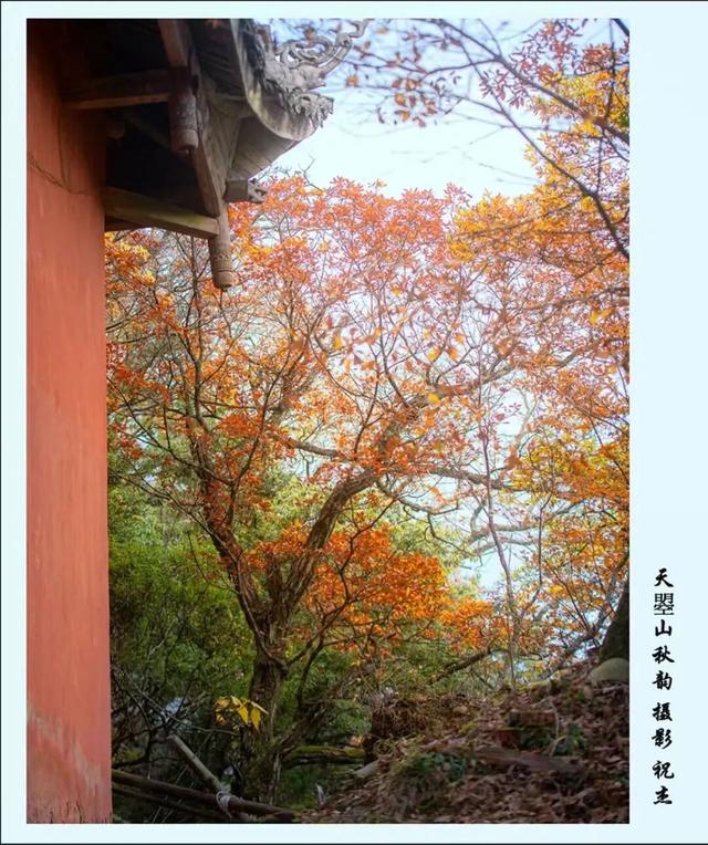 利州＝梦幻秋色打卡地