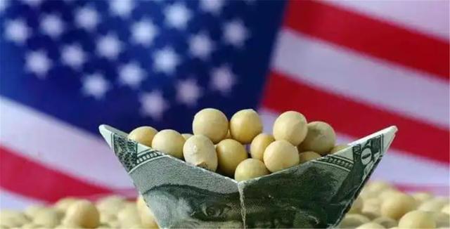 得罪中国有多惨？半年时间，中国连一粒美国大豆都不买，豆协急了