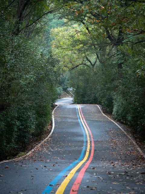 逃离都市热浪！南京老山森林公园超全攻略，承包你一日清凉与野趣
