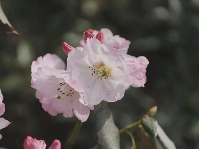 [湖北 襄阳市保康县]