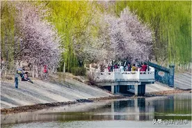2024年，红桥丁子沽的这些老楼，何时才能拆迁？图片