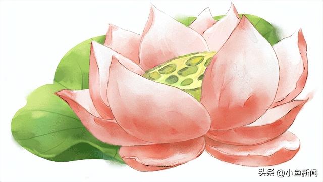 谁说夏天没花看？苏州园林偷偷美翻了！